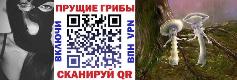 Купить где  Уварово  Галлюциногенные грибы прущие грибы 